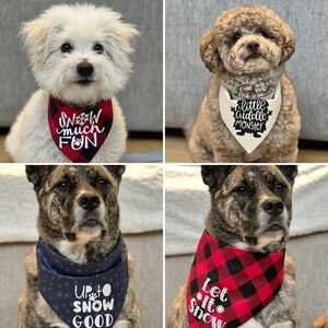 Custom dog bandana with graphic